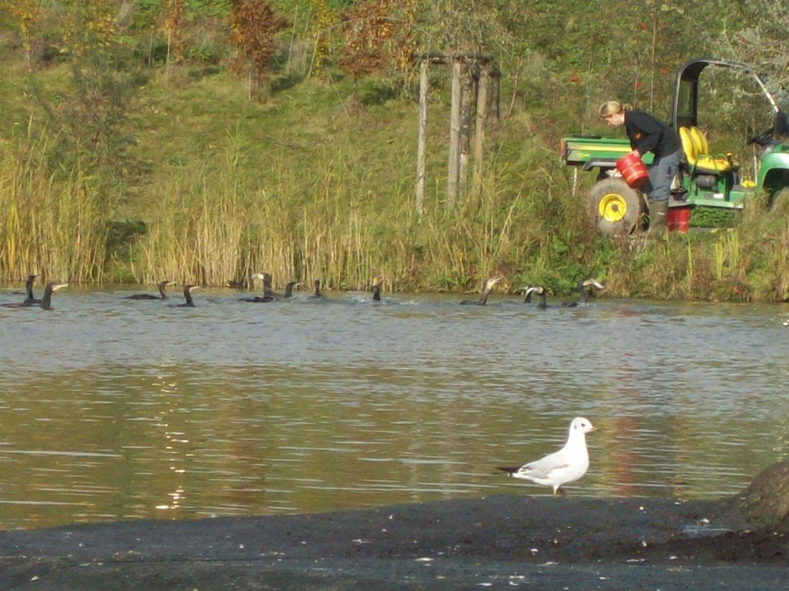 Zoom 18.10.2008-143.jpg